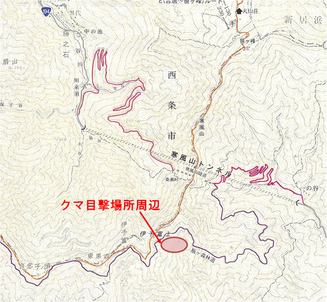 高知県いの町　瓶ヶ森林道のクマ目撃場所周辺地図