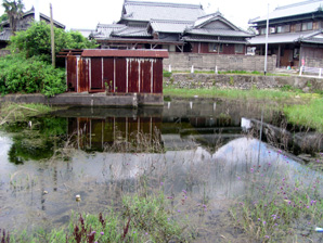 三芳　築池の写真