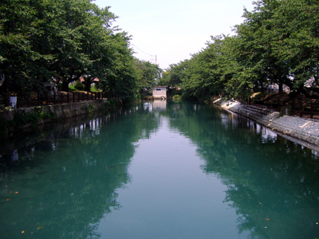 石田地区のひょうたん池（夏）の写真