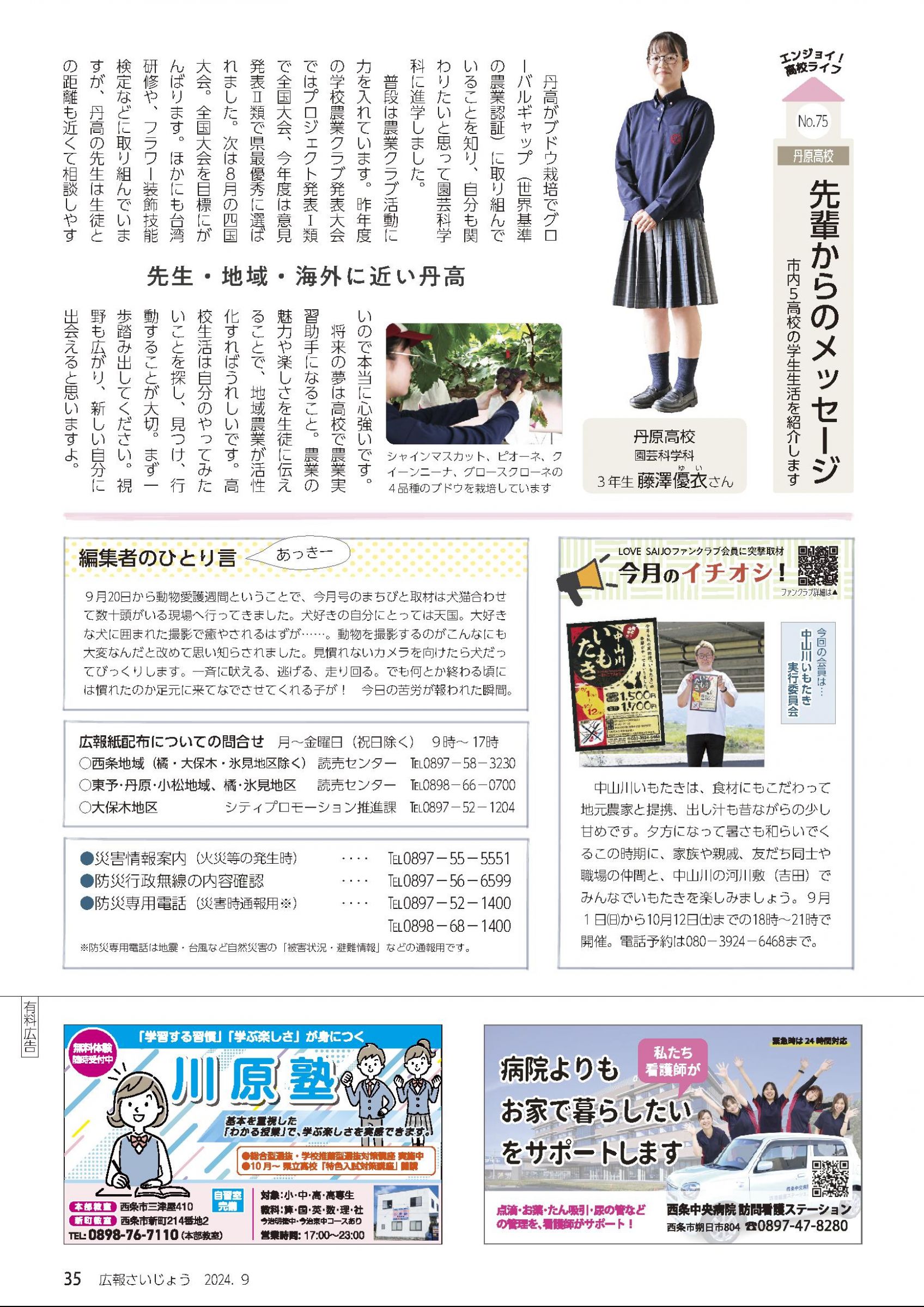 ウェブブック - 「広報さいじょう」2024年9月号 36ページ目