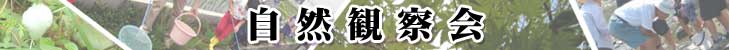 自然観察会の画像