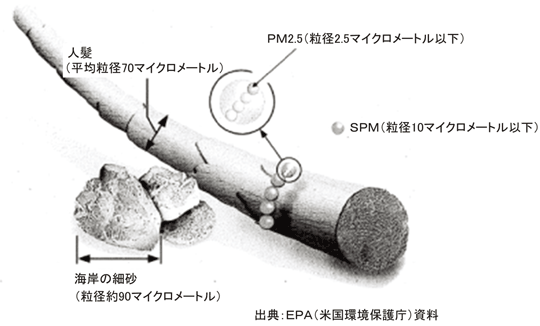 微小粒子状物質の大きさ概念図