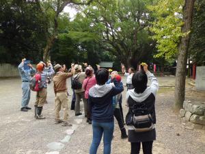 伊曽乃神社の木を観察しています