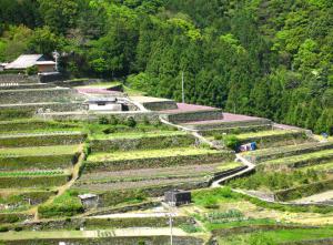 山間部（下津池・千町）の棚田