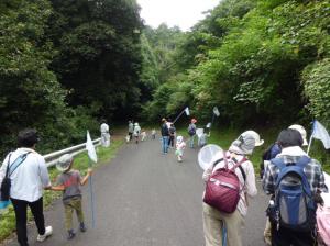 第2回自然観察会　公園内で昆虫を探しています
