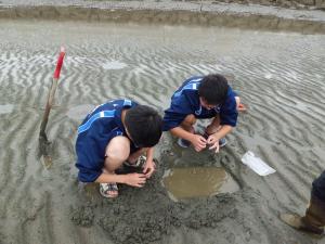 調査の様子