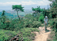 世田山遊歩道