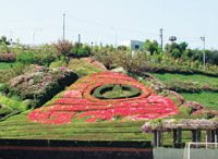 小松中央公園