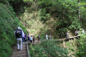 登山道１