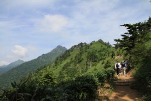 登山道２