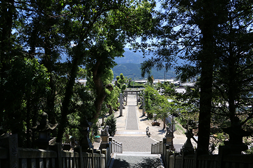 飯積神社　階段からの風景
