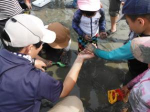 第1回自然観察会　見つかった生き物をみんなで観察しています