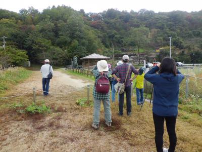 第3回自然観察会　双眼鏡の使い方を練習しながらカモを観察しています。