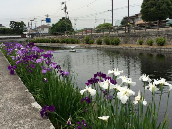 陣屋跡のお堀