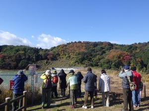 第3回自然観察会　カモ類の観察