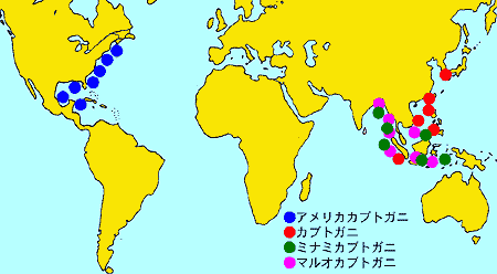 世界分布図