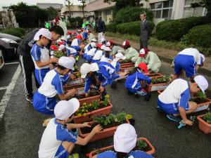 平成30年度　人権の花運動～丹原小学校（植栽の様子）～