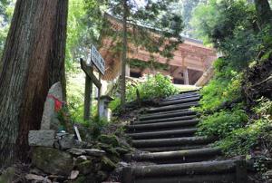 横峰寺の山道