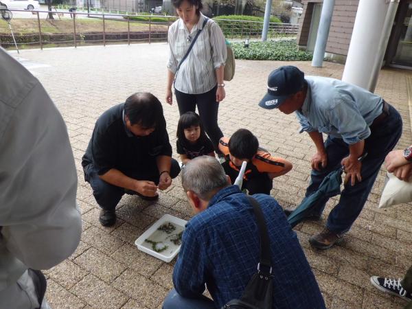 観察会の様子1