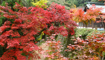 西山興隆寺