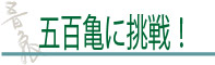 五百亀に挑戦！