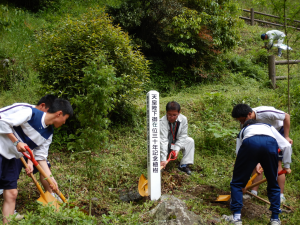 植栽様子