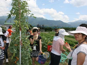 河北大学外国語学院日本語学科代表団の写真2