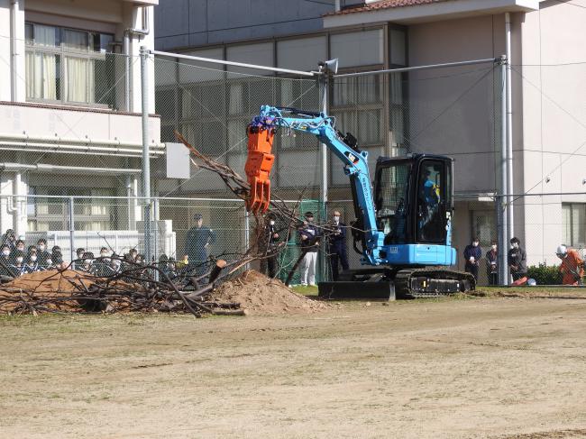 バックホウで流木を撤去