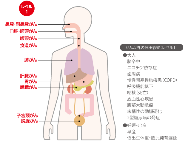 喫煙者　がん