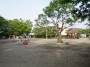 大曲公園の写真