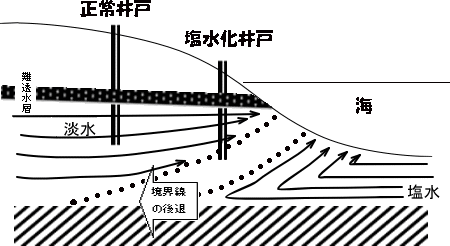 「塩水化とは」の図