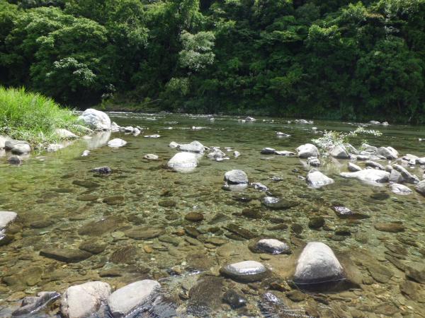 写真（河川）