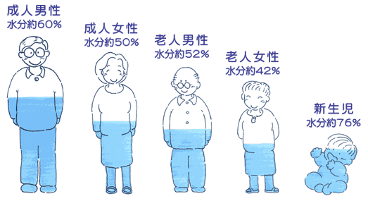 人間の体は60％は水のさし絵