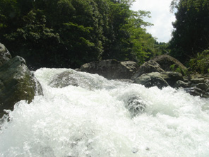 鞍瀬川の写真
