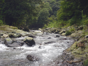 志河川の写真