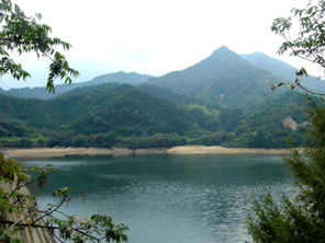 大明神池（庄内）の写真