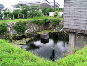 三芳お池の写真