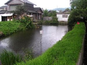 高田古池の写真