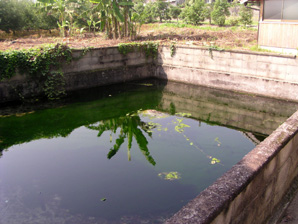 臼井泉の写真
