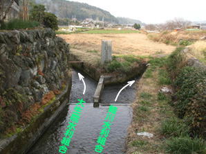 鮭川水利組合と大生院水利組合の分岐の写真