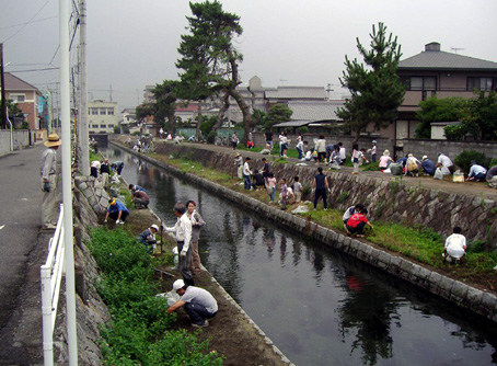 水質保全区域の清掃の写真