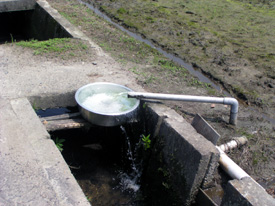 大新田地区自噴水の写真