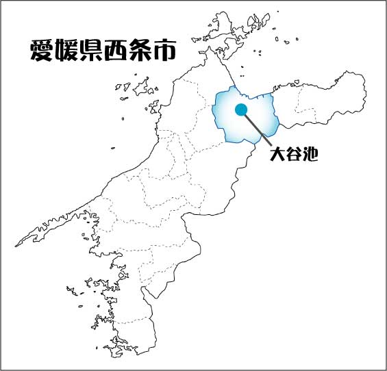 愛媛県西条市　大谷池位置図