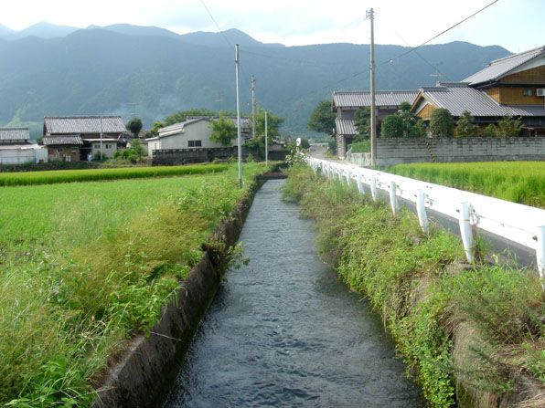 釜之口堰からの掛井手までの釜之口幹線水路（丹原町長野）の写真