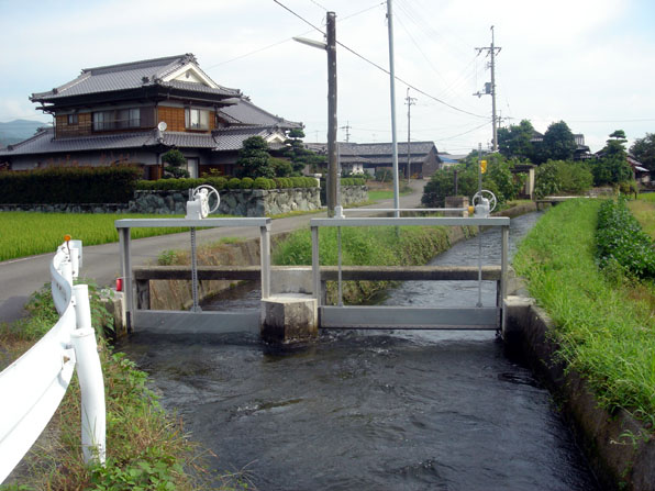 掛井手の始点（左側）釜之口幹線水路（右側）（丹原町長野 末友地区）の写真