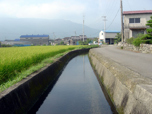 掛井手上流（丹原町長野）の写真