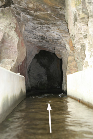 志川掘抜隧道｢上の段｣入口の写真