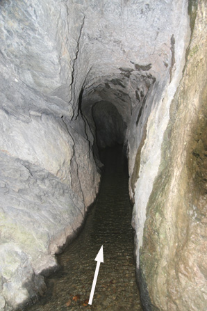 志川掘抜隧道｢下の段｣入口の写真
