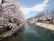 (3)泉（ひょうたん池）石田（東予地区）の写真