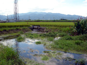 (4)泉（ひょうたん池）新宮（小松地区）の写真